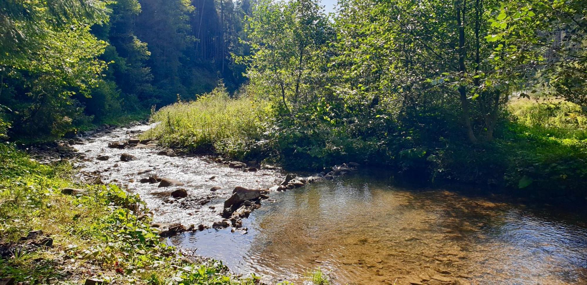 Vila Дім Tukhlya Exteriér fotografie