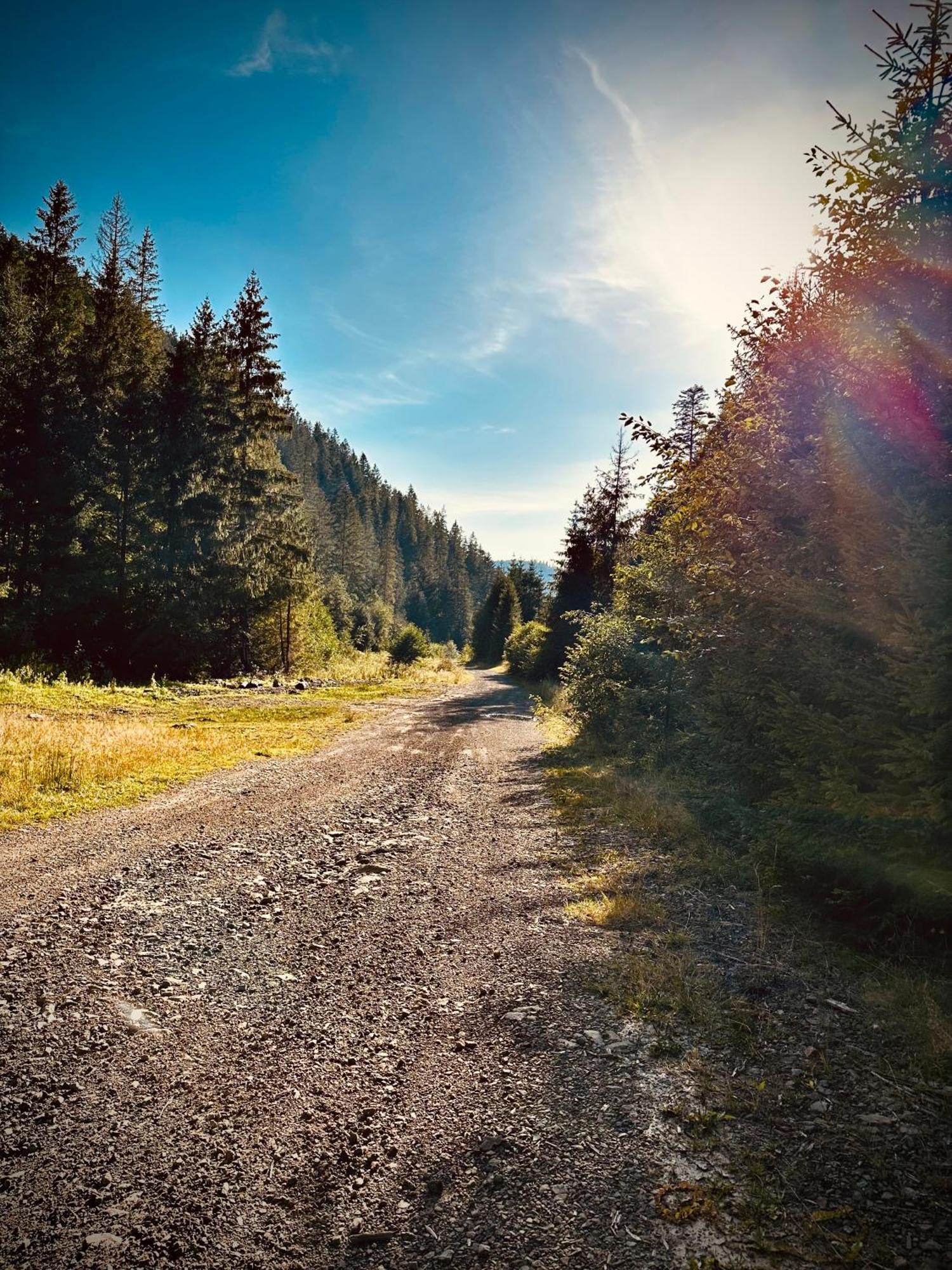 Vila Дім Tukhlya Exteriér fotografie